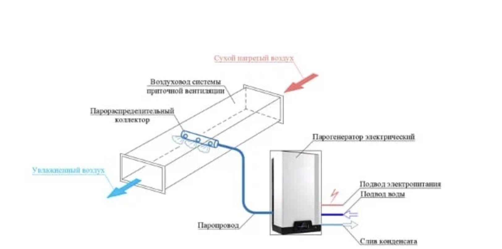 Портрет человека